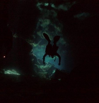 Buceo en cenote oscuro